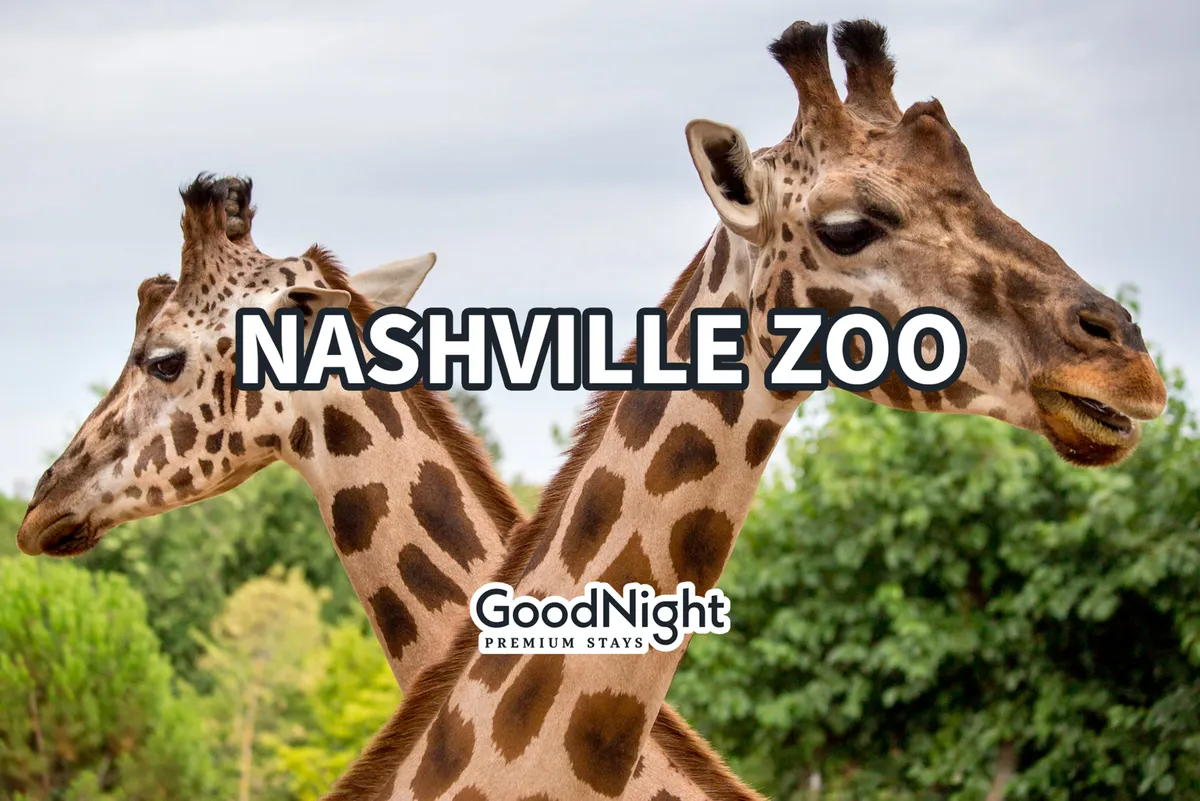 A joyful outdoor scene at the Nashville Zoo featuring giraffes surrounded by lush greenery, with families and children observing the animals up close. The image conveys a sense of adventure, discovery, and family bonding in a vibrant, natural setting.